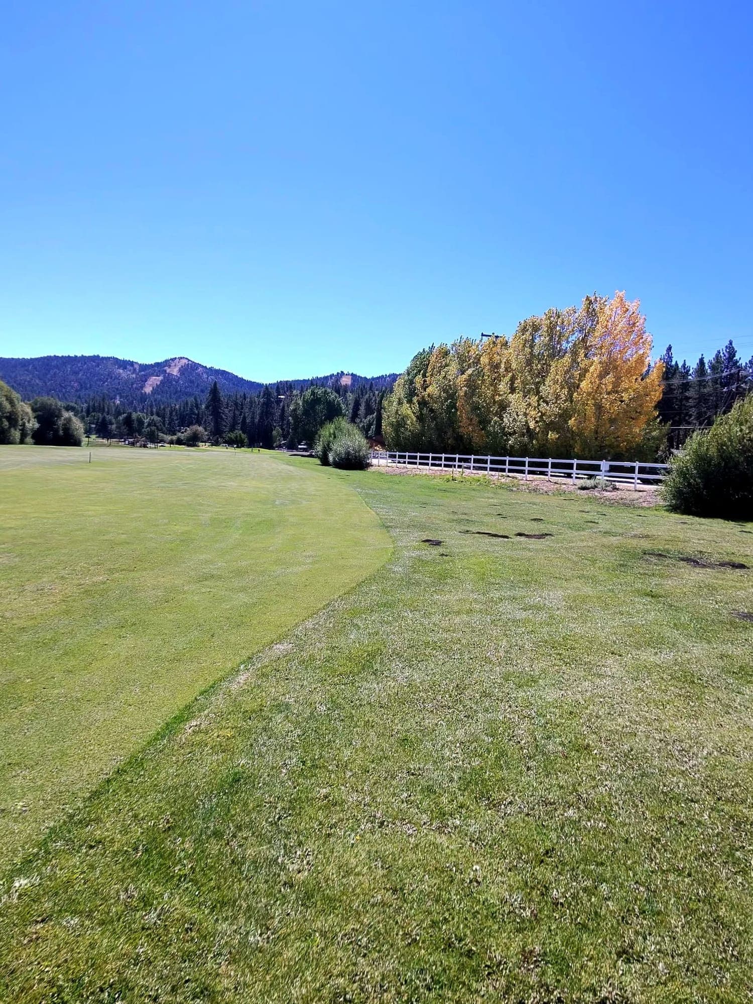 Golden fall aspens lining a green fairway at a Big Bear golf course