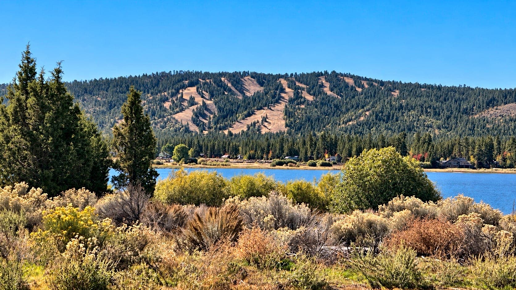 Chaparral and pines in front of Big Bear Lake with ski-run-lined mountains beyond