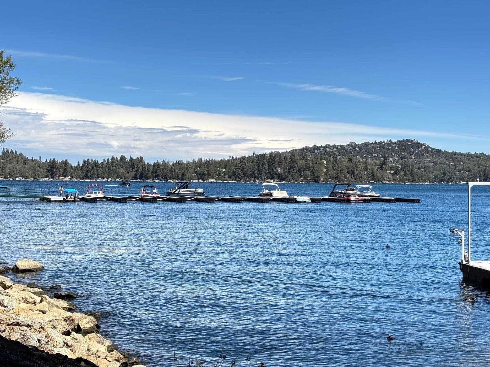 Pontoon boats tied along a shaded dock, with pines behind them.