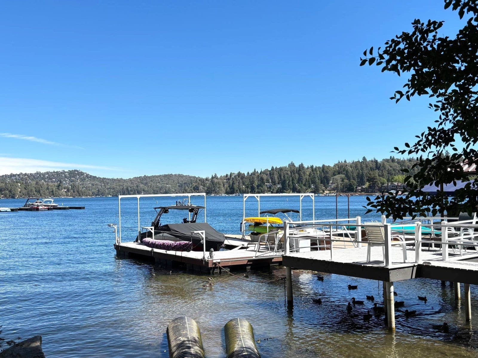 Covered and open boat slips along a pine shoreline at Lake Arrowhead.