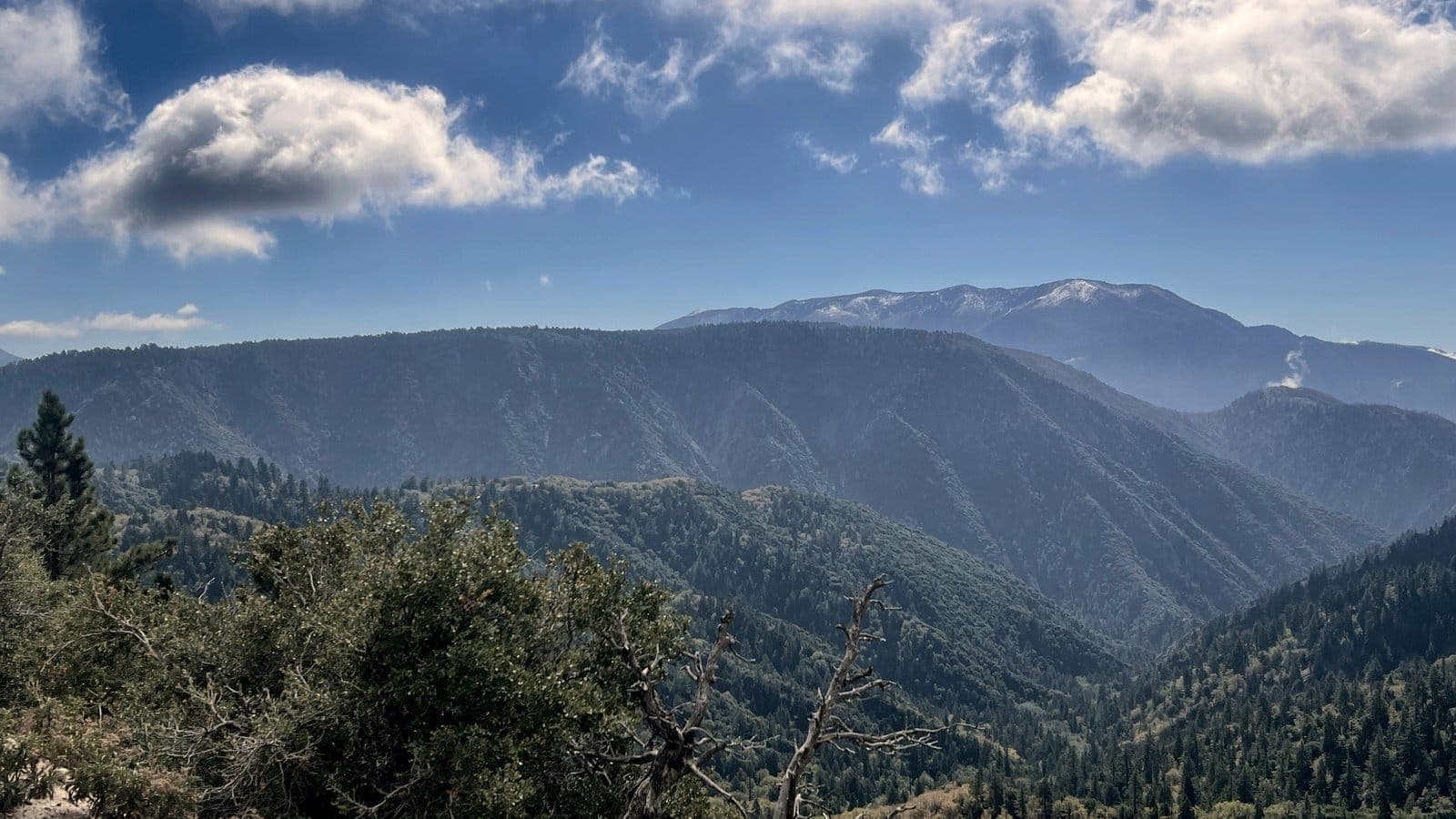 Layered blue ridges and pine canyons from a mountain overlook in the San Bernardino Mountains.
