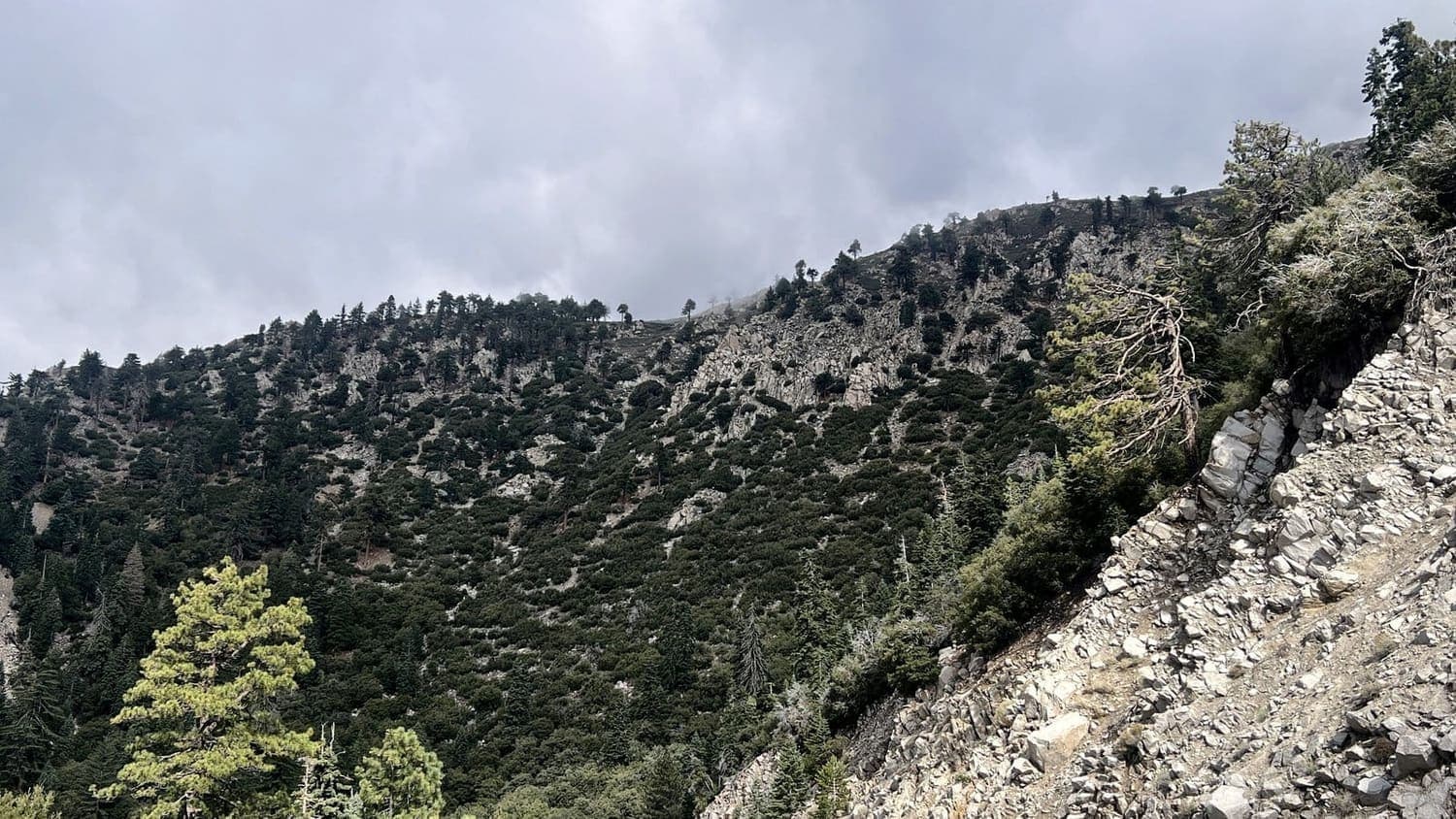 Rugged rocky slopes dotted with pines under a cloudy sky in the San Bernardino Mountains