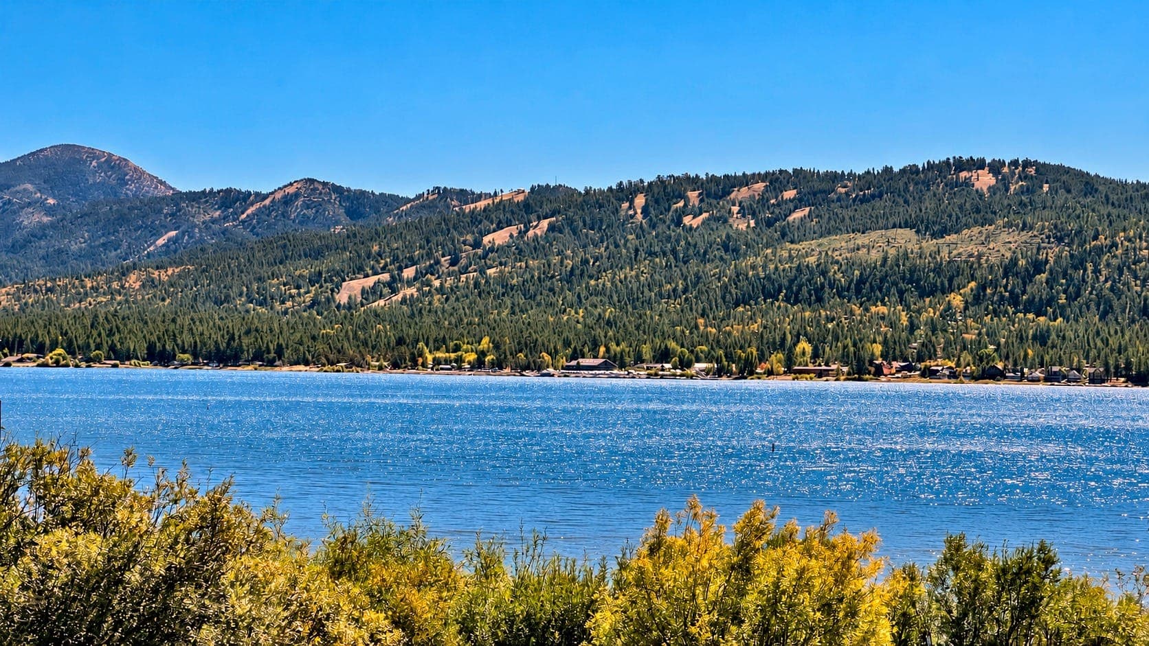 Deep blue Big Bear Lake below a forested mountain ridge with green shrubs in the foreground