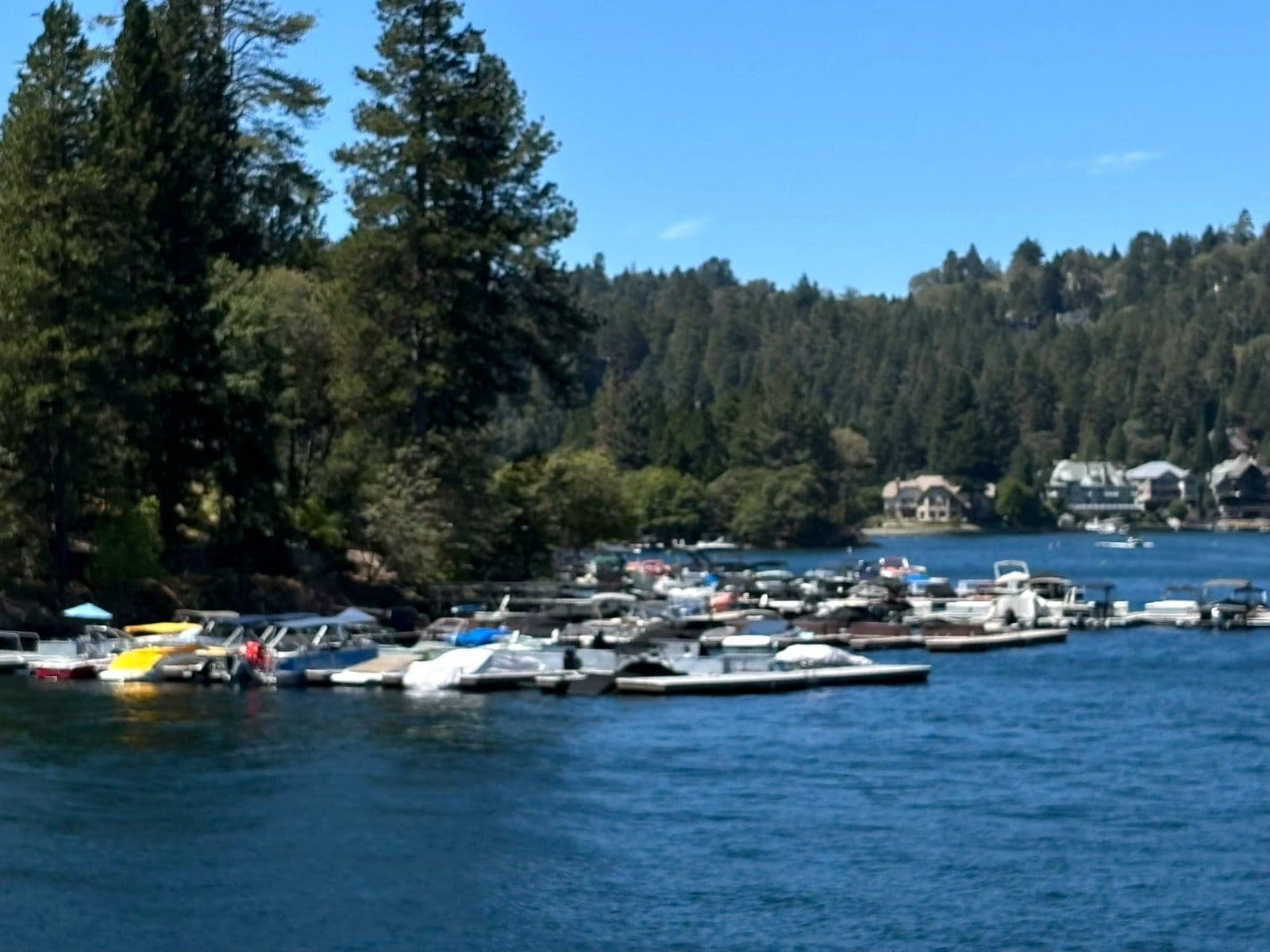 Many boats docked in a small Lake Arrowhead cove surrounded by pines.